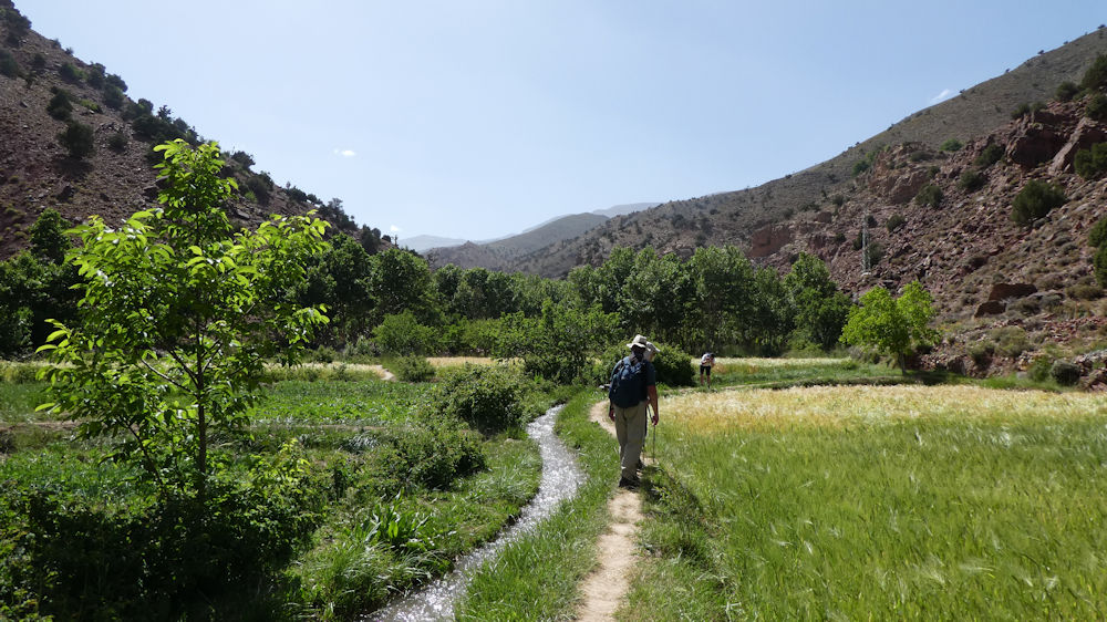 Walking through irrigated meadows